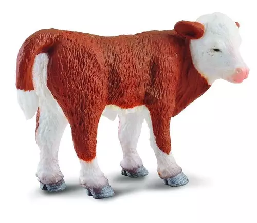 Cielę stojące rasy hereford S - Gry