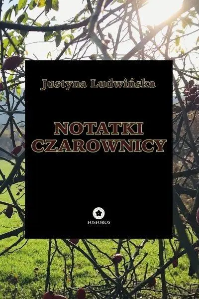 Notatki czarownicy - Książki