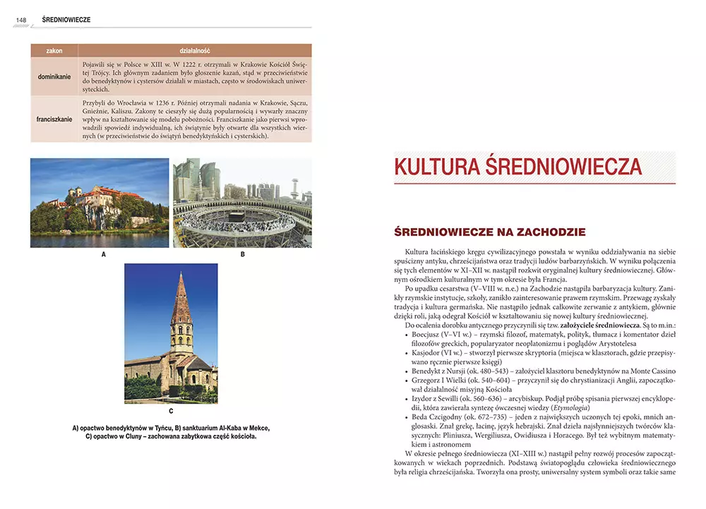 Repetytorium maturzysty - historia - Książki