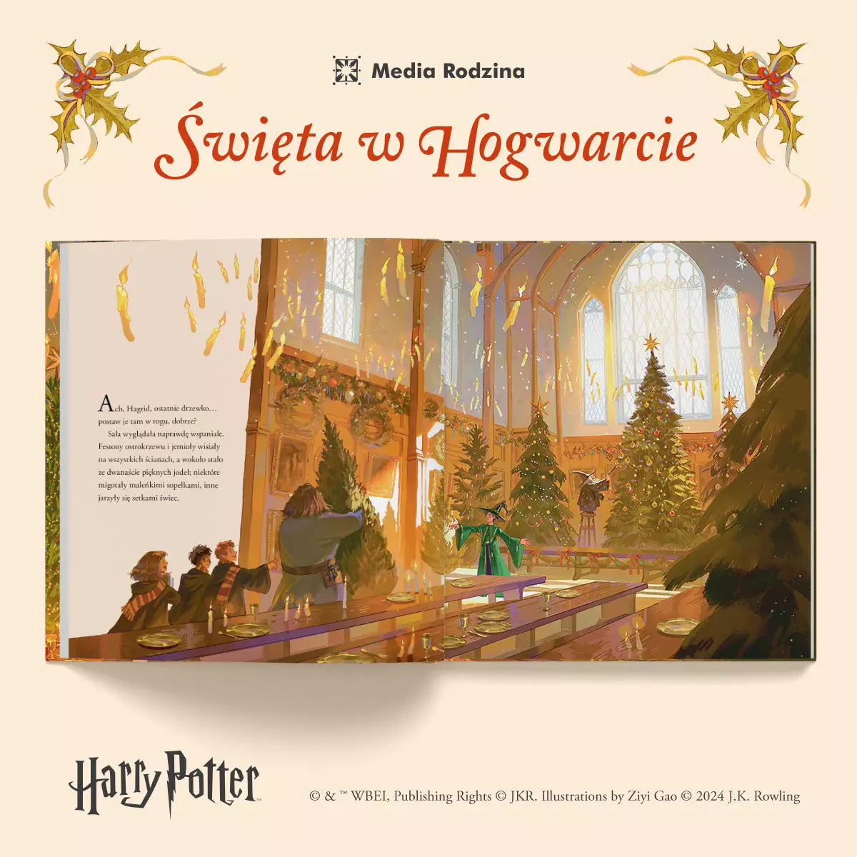 Harry Potter. Święta w Hogwarcie - Książki