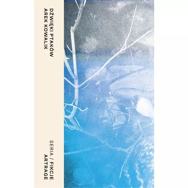 Dźwięki ptaków - Książki