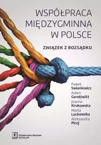 Współpraca międzygminna w Polsce - Książki