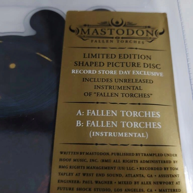 Fallen Torches / Shape, Limited Edition, Picture Disc, Record Store Day 2021 exclusive, Winyl - Muzyka