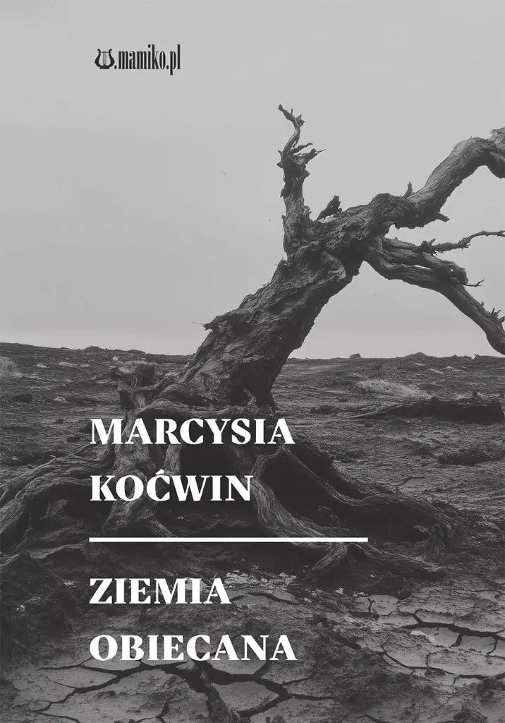 Ziemia obiecana - Książki