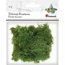 Mech chrobotek ciemnozielony 20g - Papiernicze i szkolne