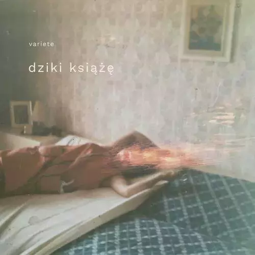 Dziki książę, CD - Muzyka