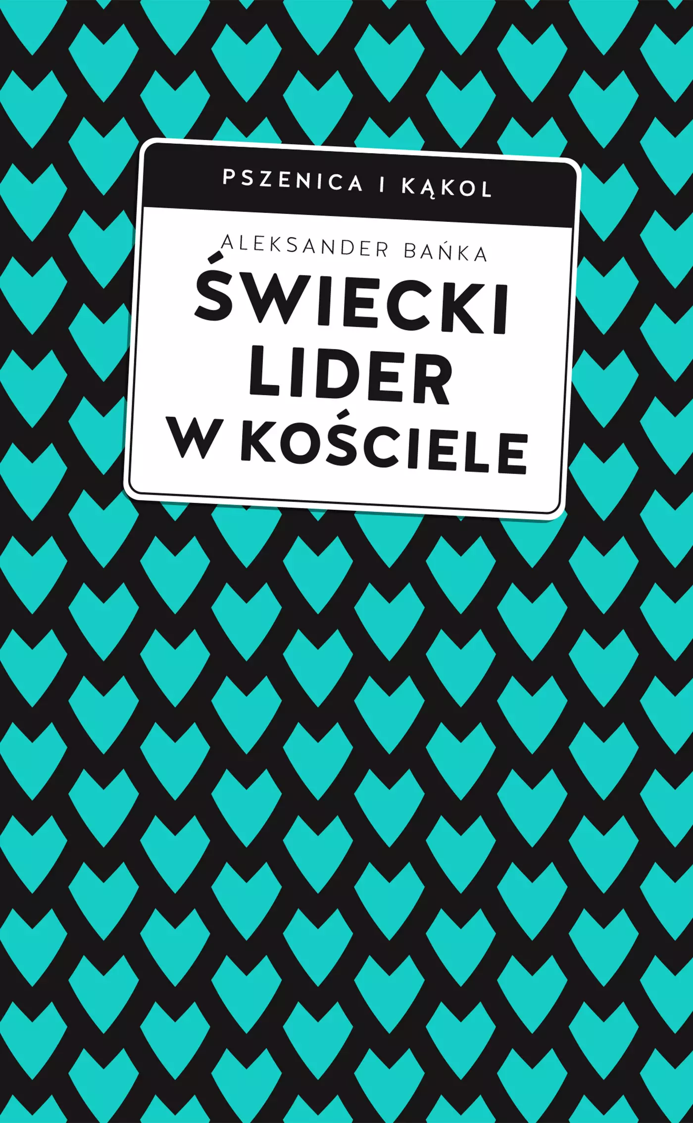 Świecki Lider w Kościele - Książki