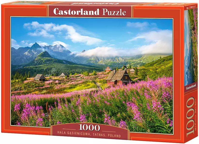 Puzzle 1000 elementów. Hala Gąsienicowa - Puzzle