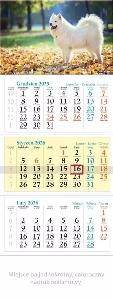 Kalendarz 2026 ścienny trójdzielny Pies - Książki