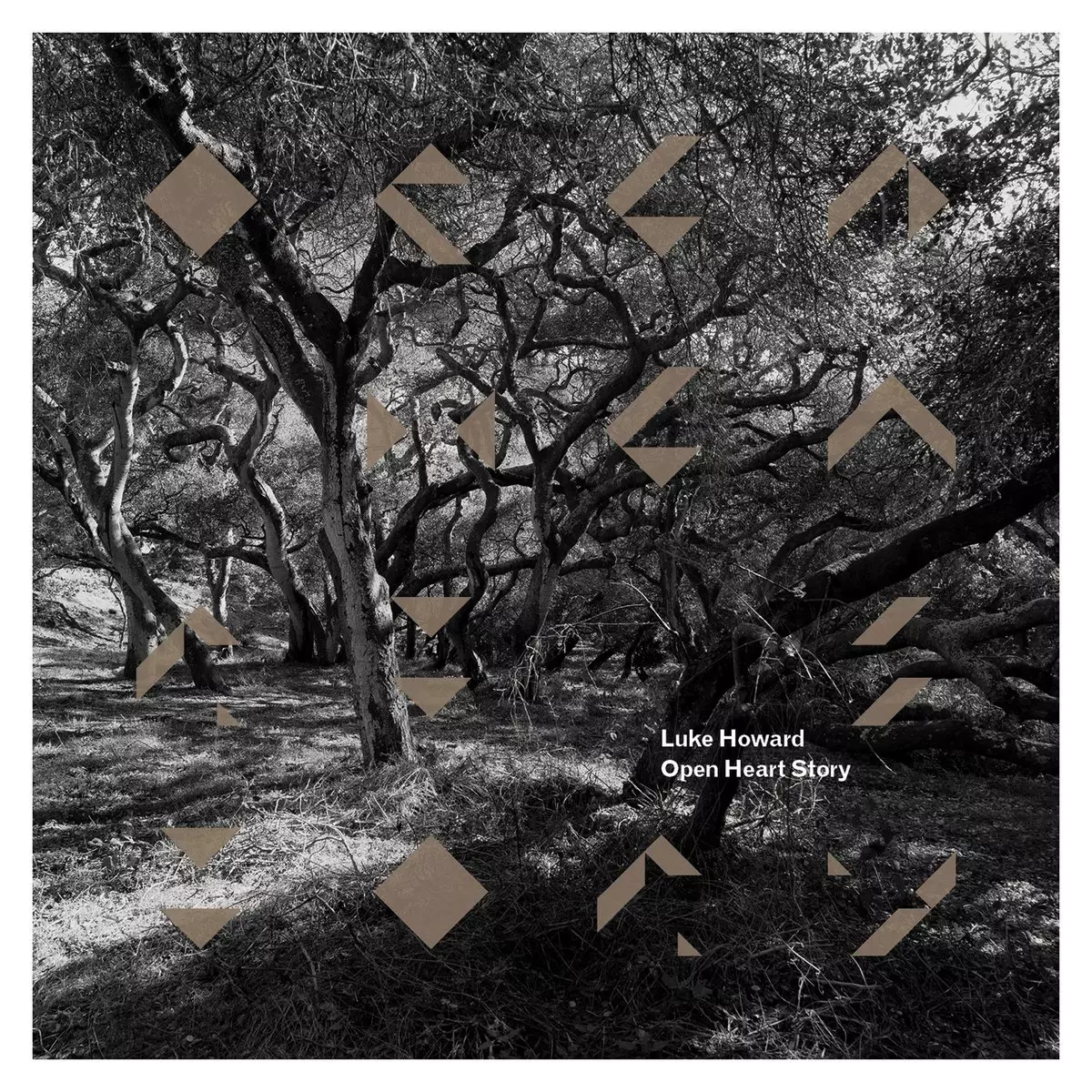 Open Heart Story, CD - Muzyka