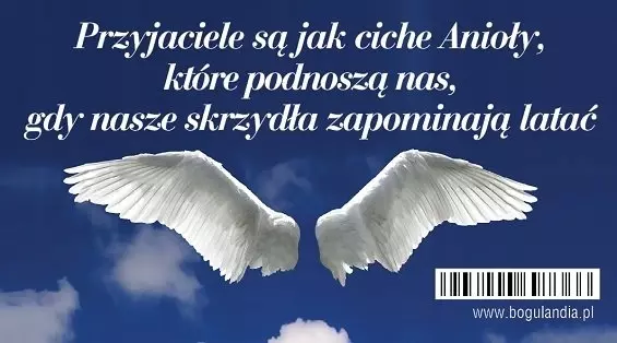 Magnes na lodówkę - Przyjaciele są jak ciche Anioły... - Książki