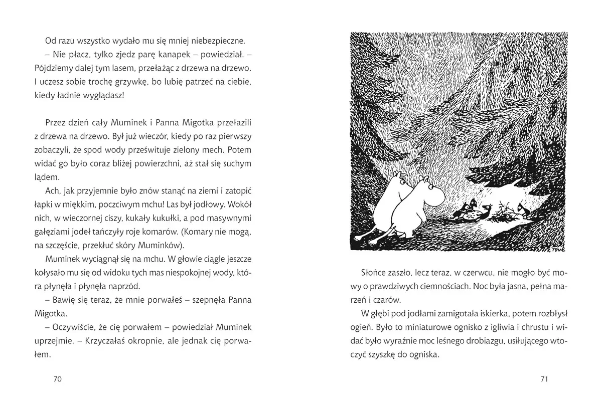 Lato Muminków - Książki