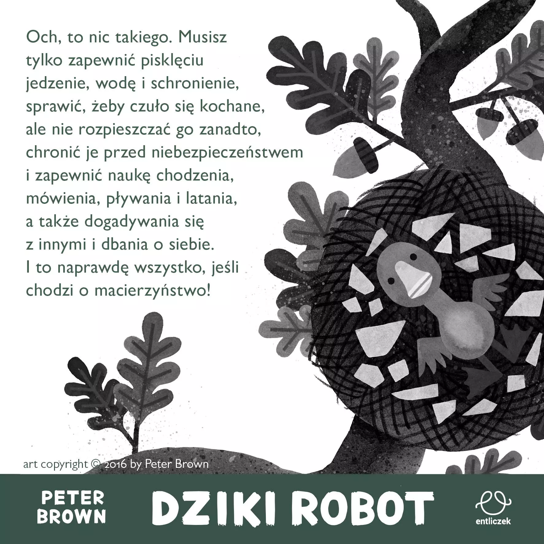 Dziki robot - Książki