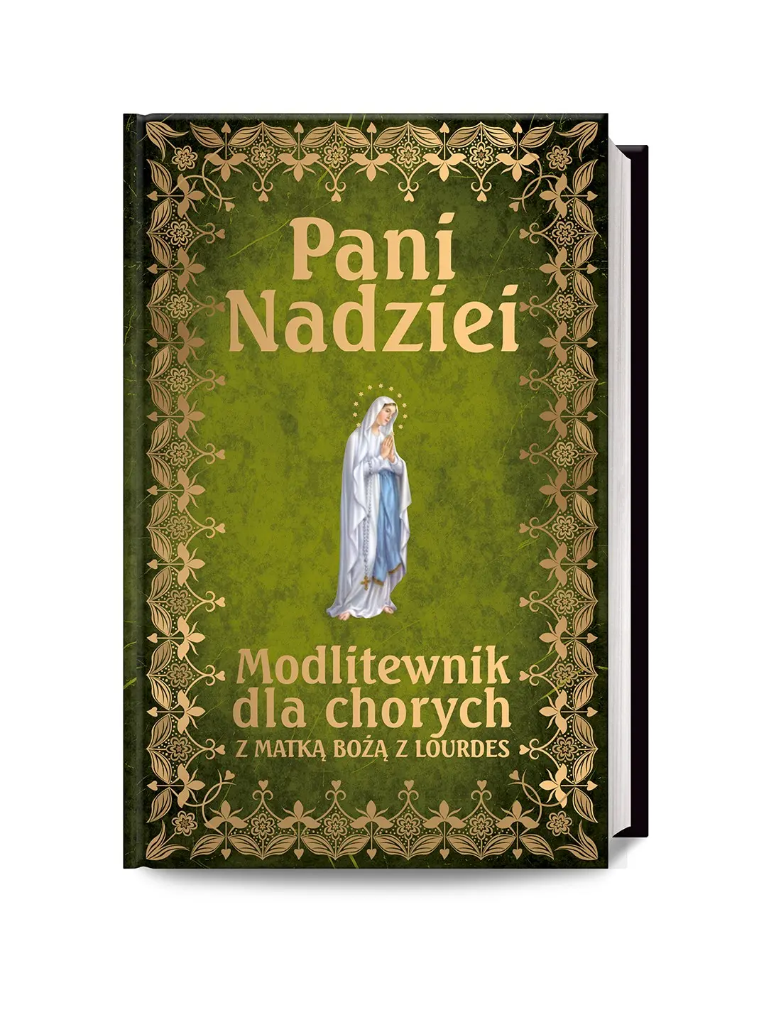 Pani Nadziei. Modlitewnik dla chorych z Matką Bożą z Lourdes - Książki