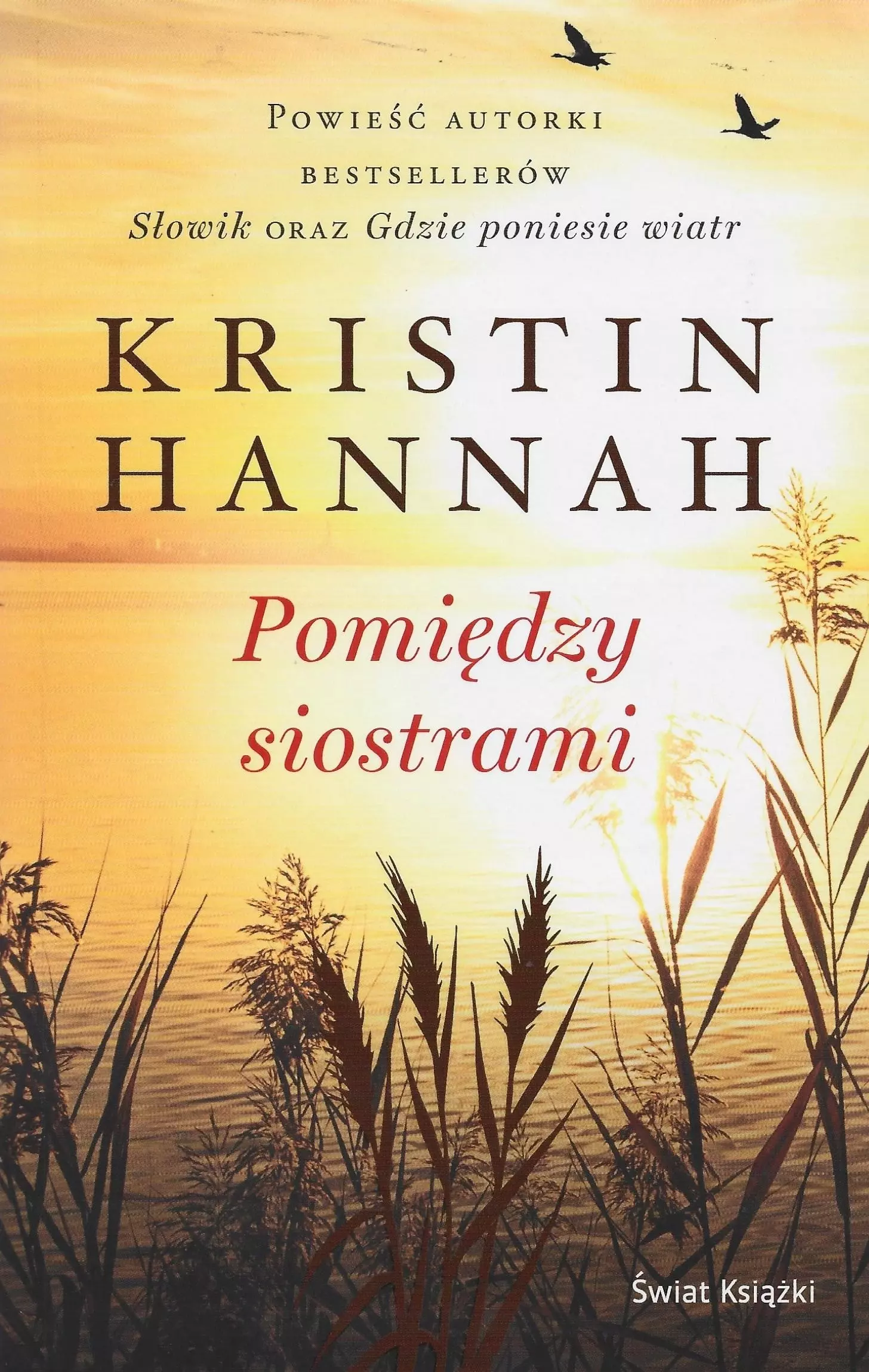 Pomiędzy siostrami - Książki