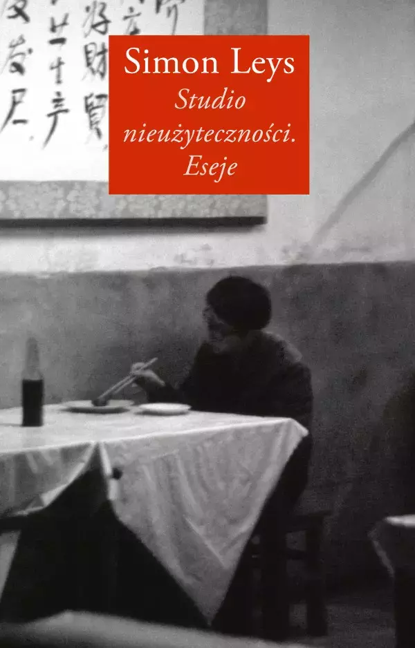 Studio nieużyteczności. Eseje - Książki