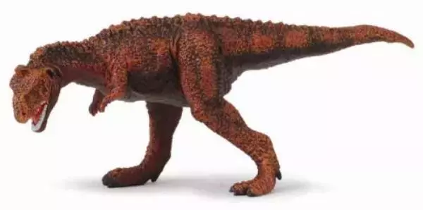 Dinozaur Majungasaurus - Książki