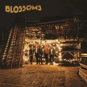 Blossoms - Muzyka