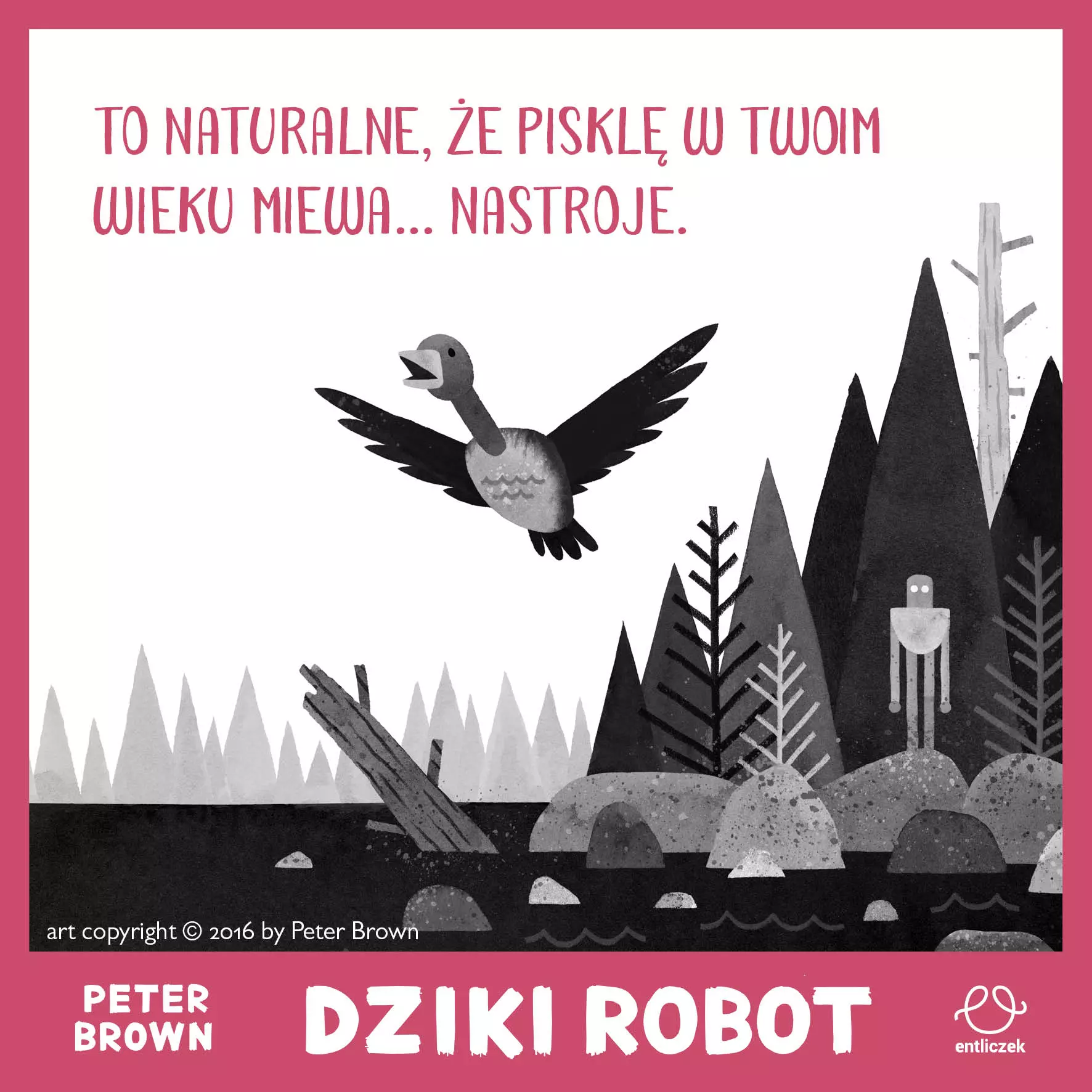 Dziki robot - Książki