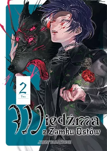 Wiedźma z Zamku Ostów. Tom 2 - Książki