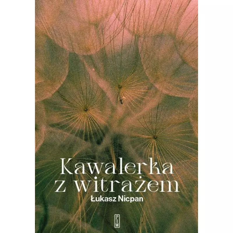 Kawalerka z witrażem - Książki