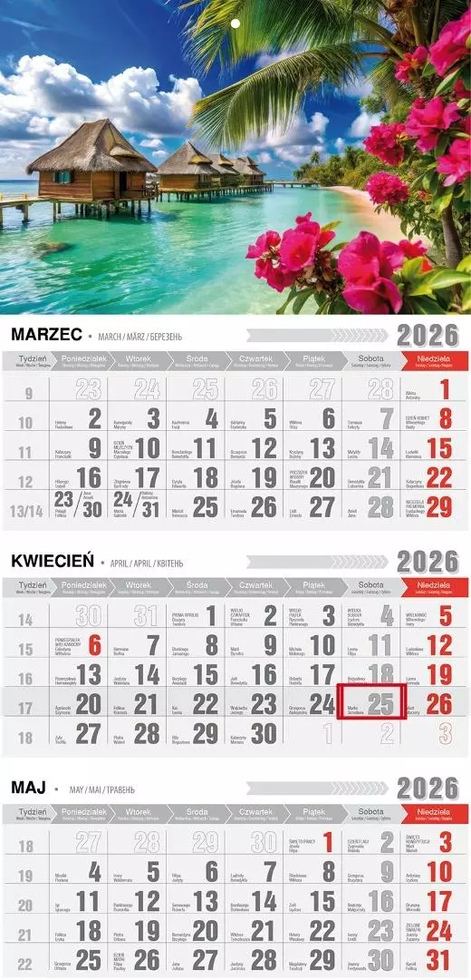 Kalendarz 2026 trójdzielny ekonomiczny tropiki - Książki
