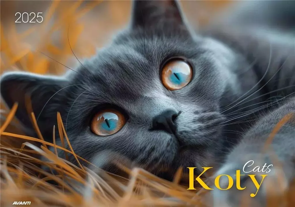 Kalendarz 2025 ścienny albumowy Koty - Książki
