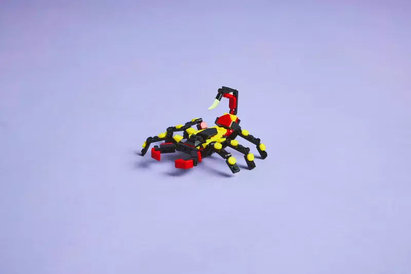 LEGO Creator 3 w 1 Dzikie zwierzęta: niezwykły pająk 31159 - Zabawki