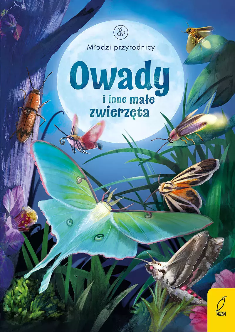 Młodzi przyrodnicy. Owady i inne małe zwierzęta - Książki