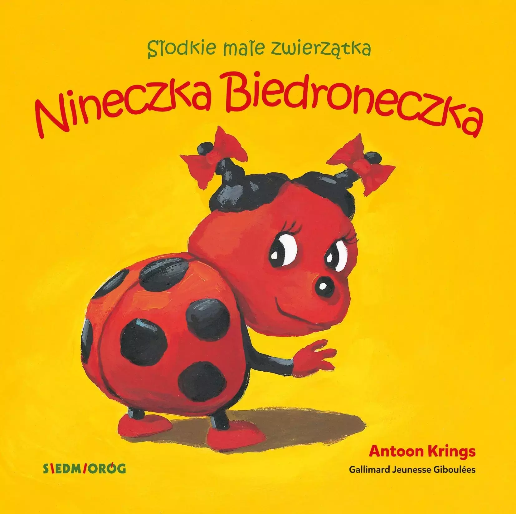 Nineczka Biedroneczka - Książki