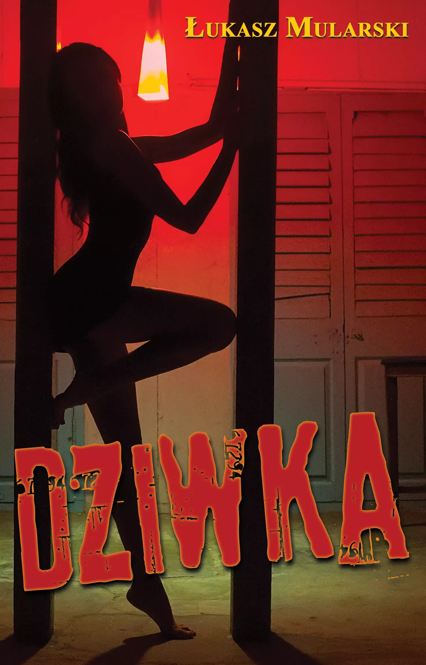 Dziwka - Książki
