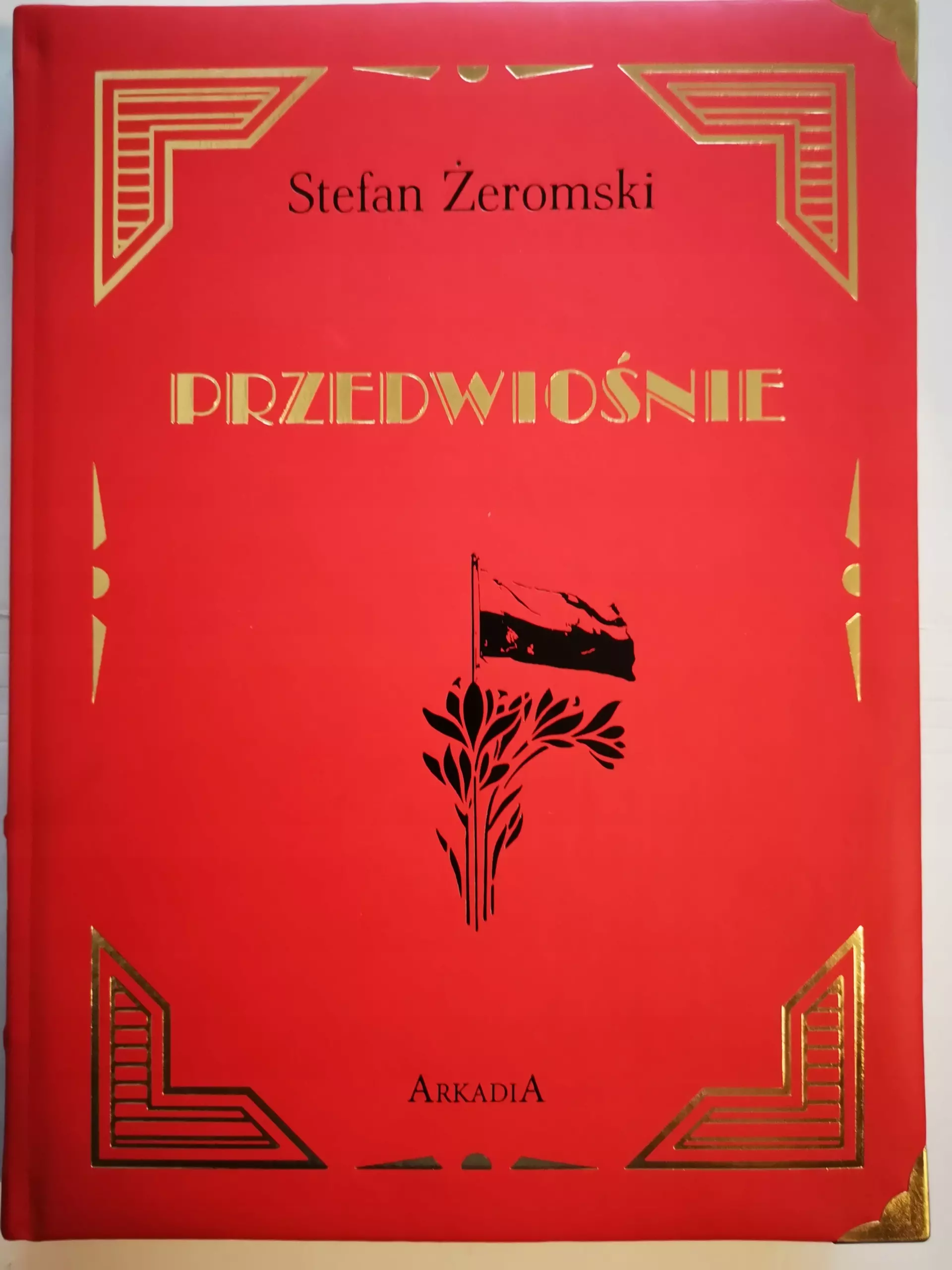 Przedwiośnie - Książki
