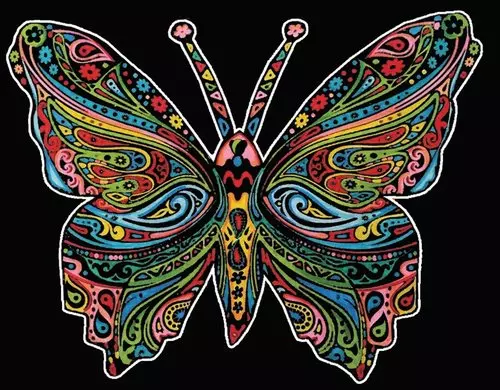 Kolorowanka Welwetowa Colorvelvet 47x35 cm Motyl - Książki