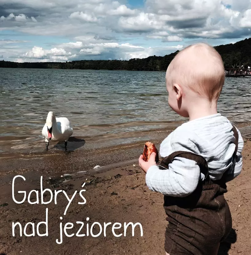Gabryś nad jeziorem - Książki