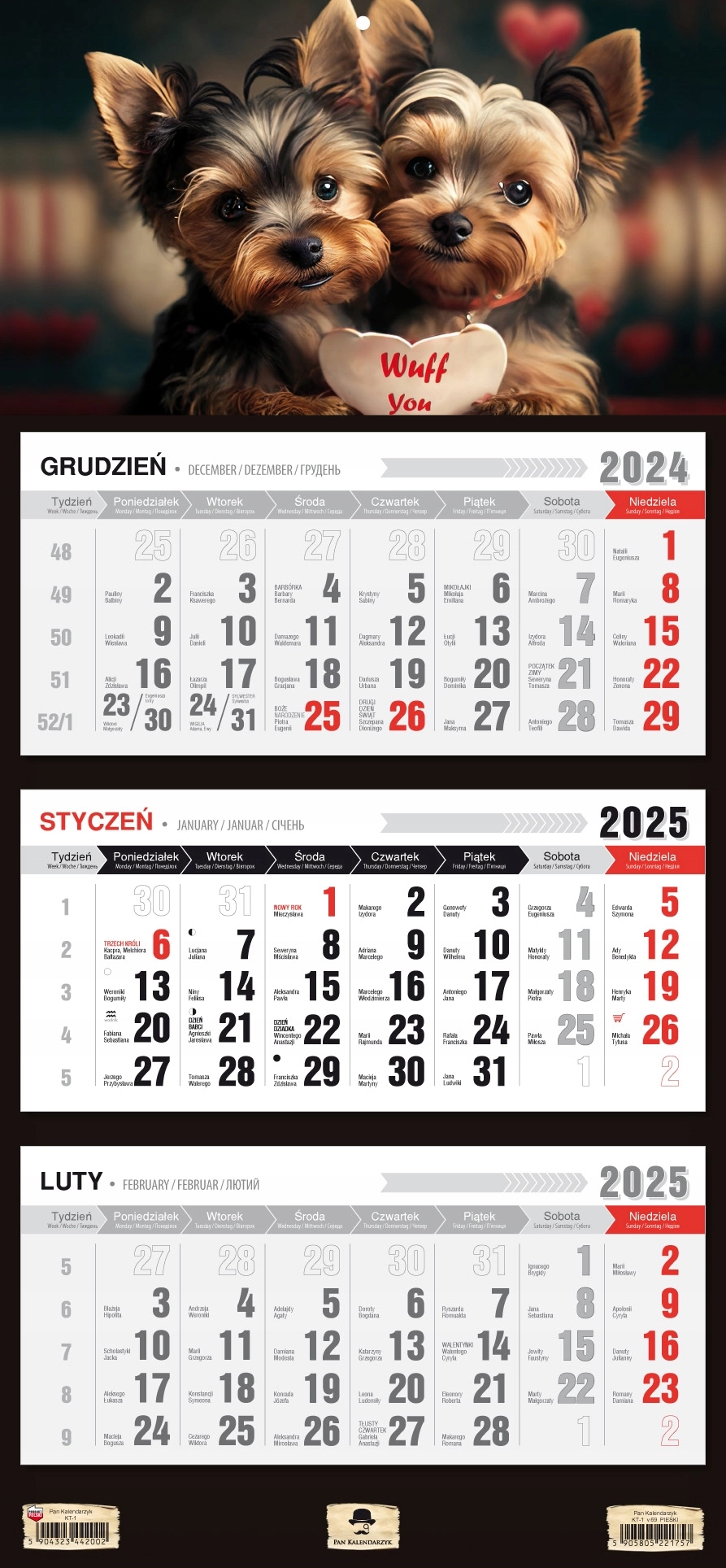 KALENDARZ TRÓJDZIELNY 2025 ROK ŚCIENNY PŁASKA GŁÓWKA GÓRY CZARNY STAW - Książki