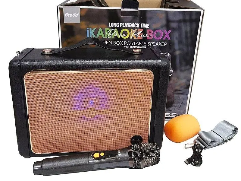 Głośnik Bluetooth z mikrofonem karaoke USB - Elektronika i akcesoria