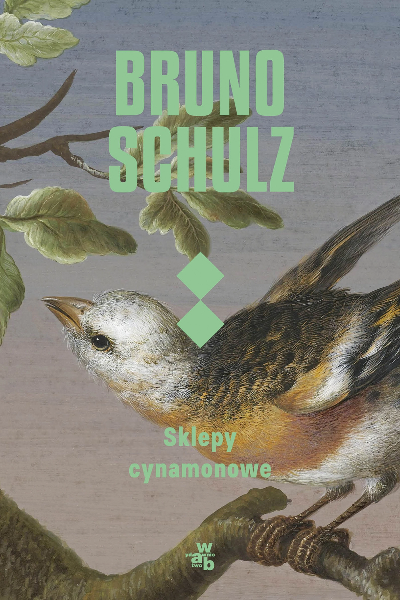 Sklepy cynamonowe - Książki