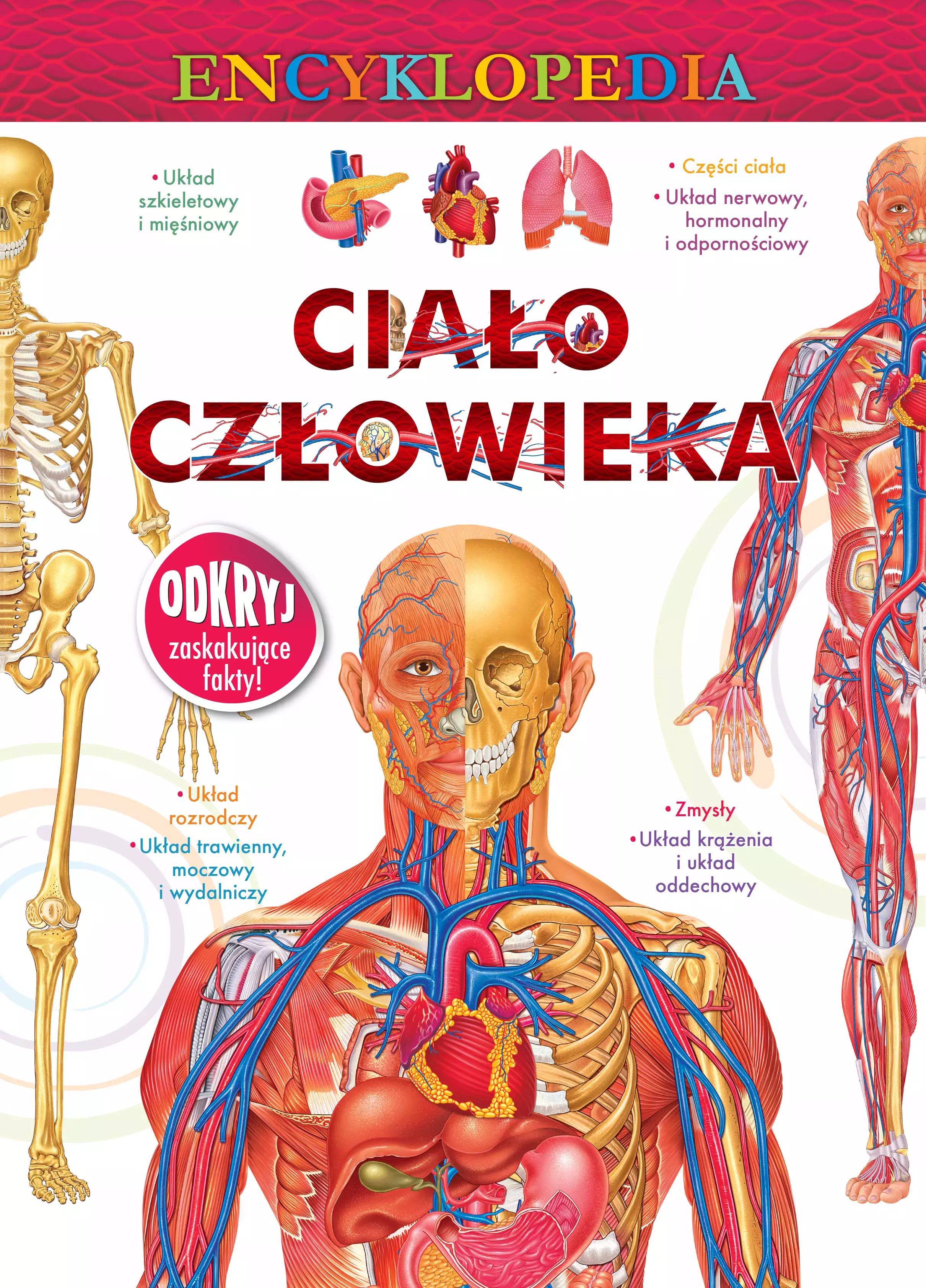 Encyklopedia. Ciało człowieka - Książki