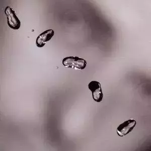 Up. CD - Muzyka