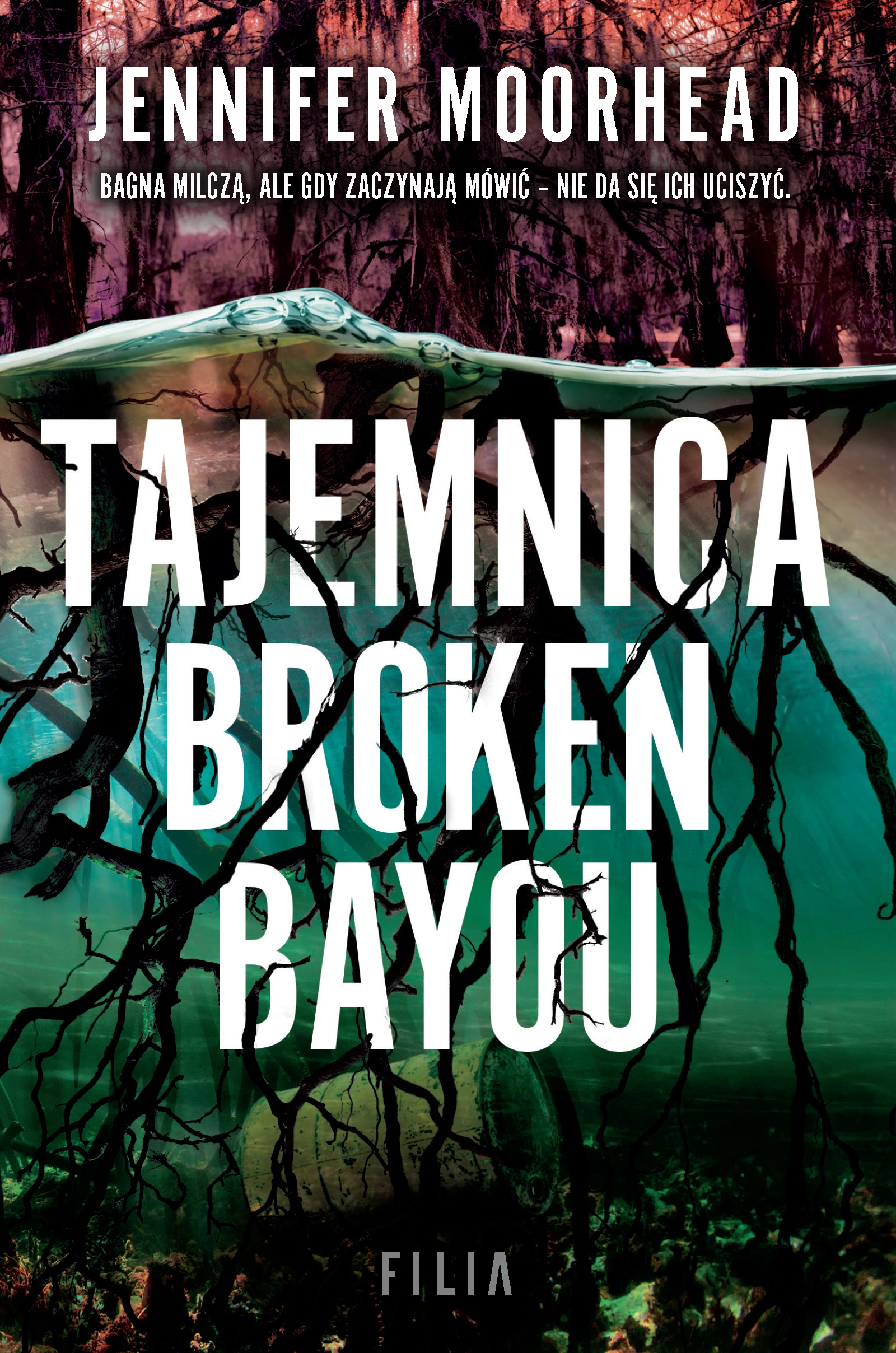Tajemnica Broken Bayou - Książki