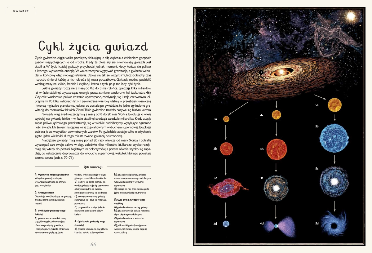 Planetarium - Książki