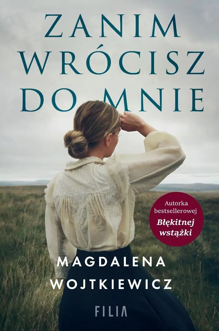 Zanim wrócisz do mnie - Książki
