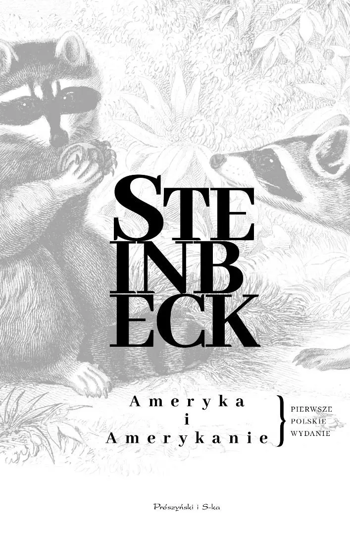 Ameryka i Amerykanie - Książki