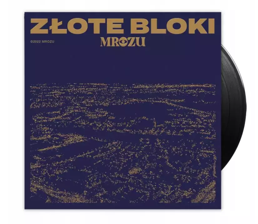 Złote Bloki. Winyl - Muzyka