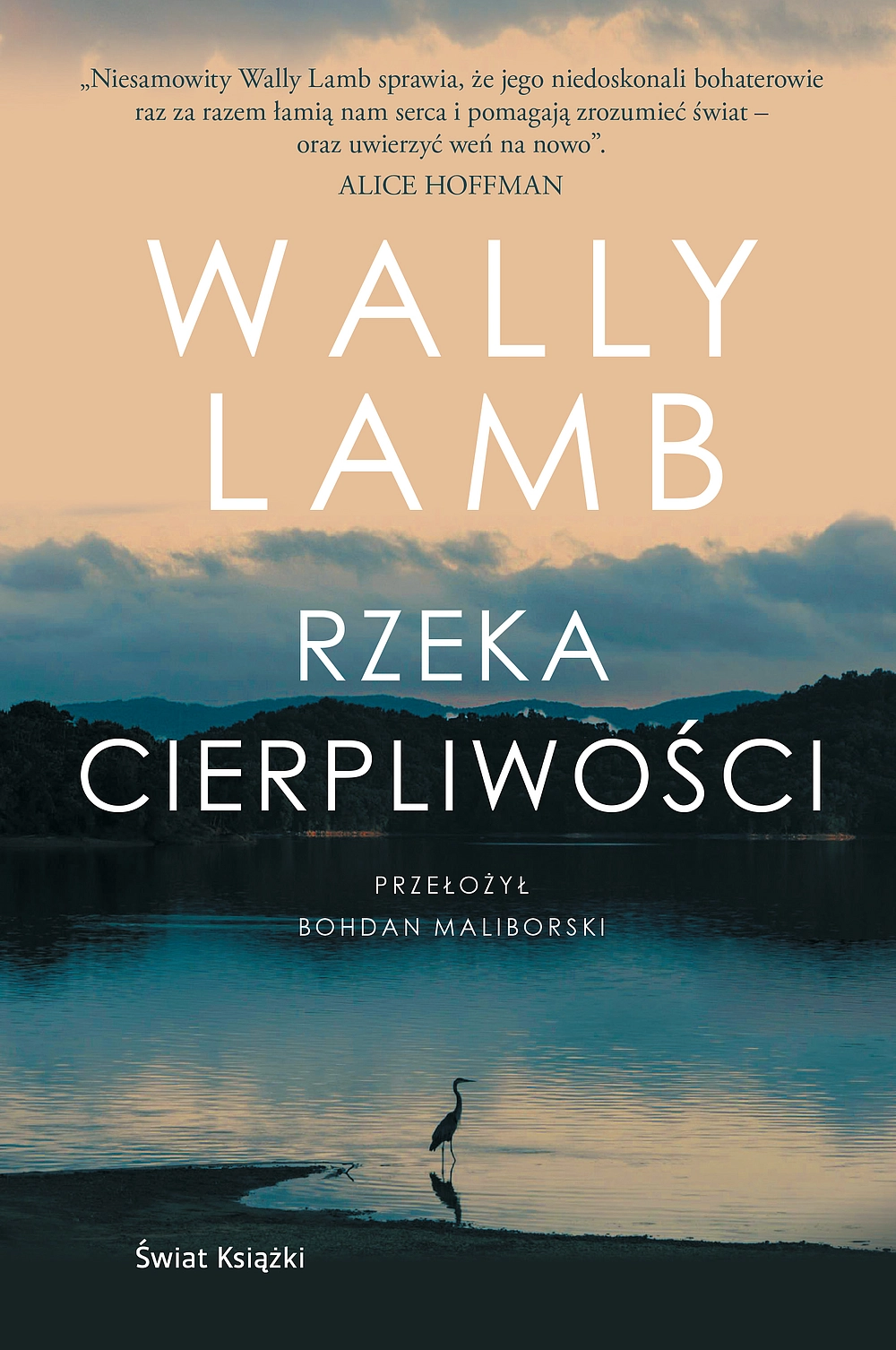 Rzeka cierpliwości - Książki