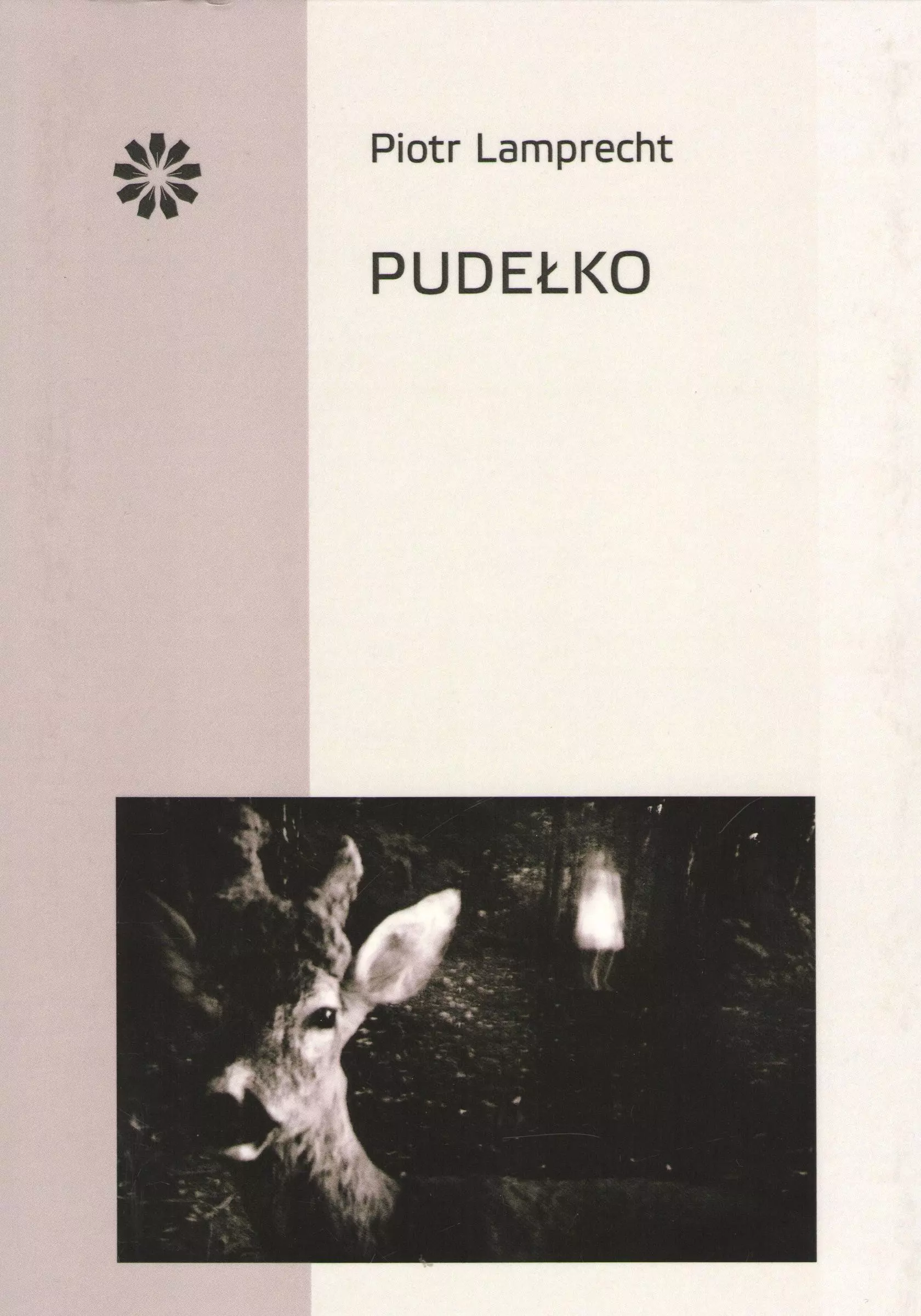 Pudełko - Książki