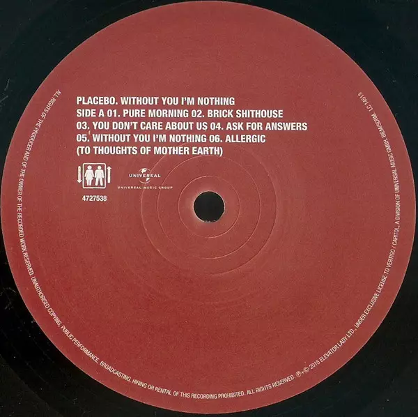 Without You I'm Nothing, LP - Muzyka