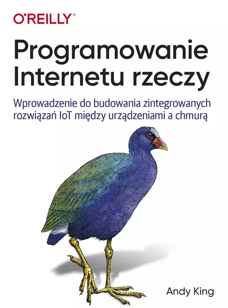 Programowanie Internetu rzeczy - Książki