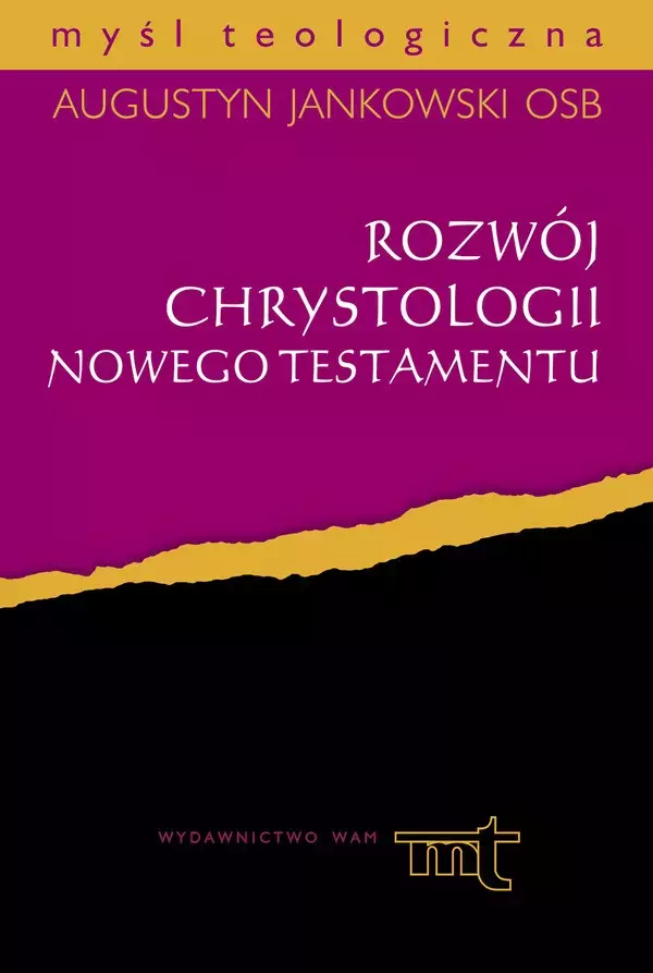 Rozwój chrystologii Nowego Testamentu - Książki