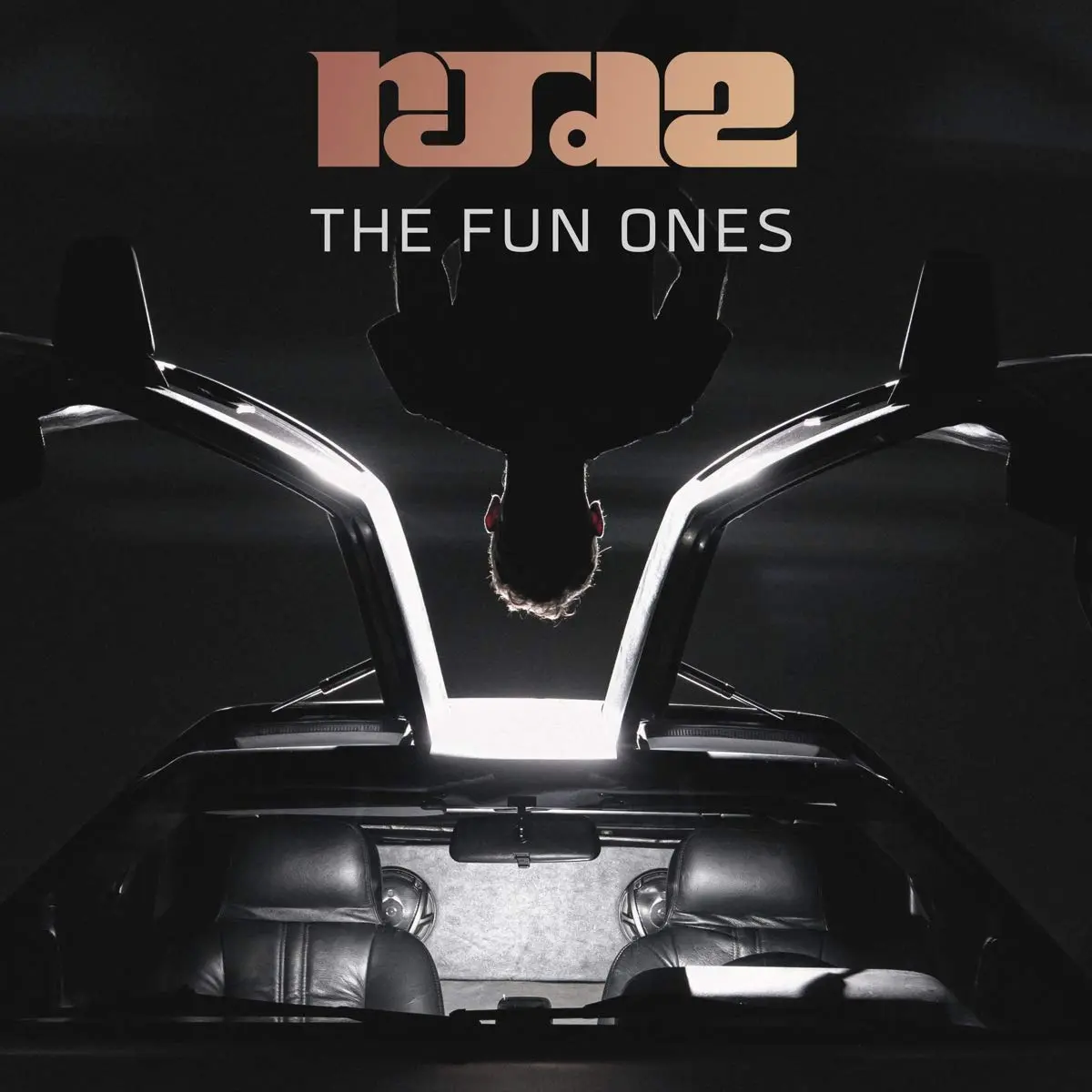 The Fun Ones LP, Winyl - Muzyka